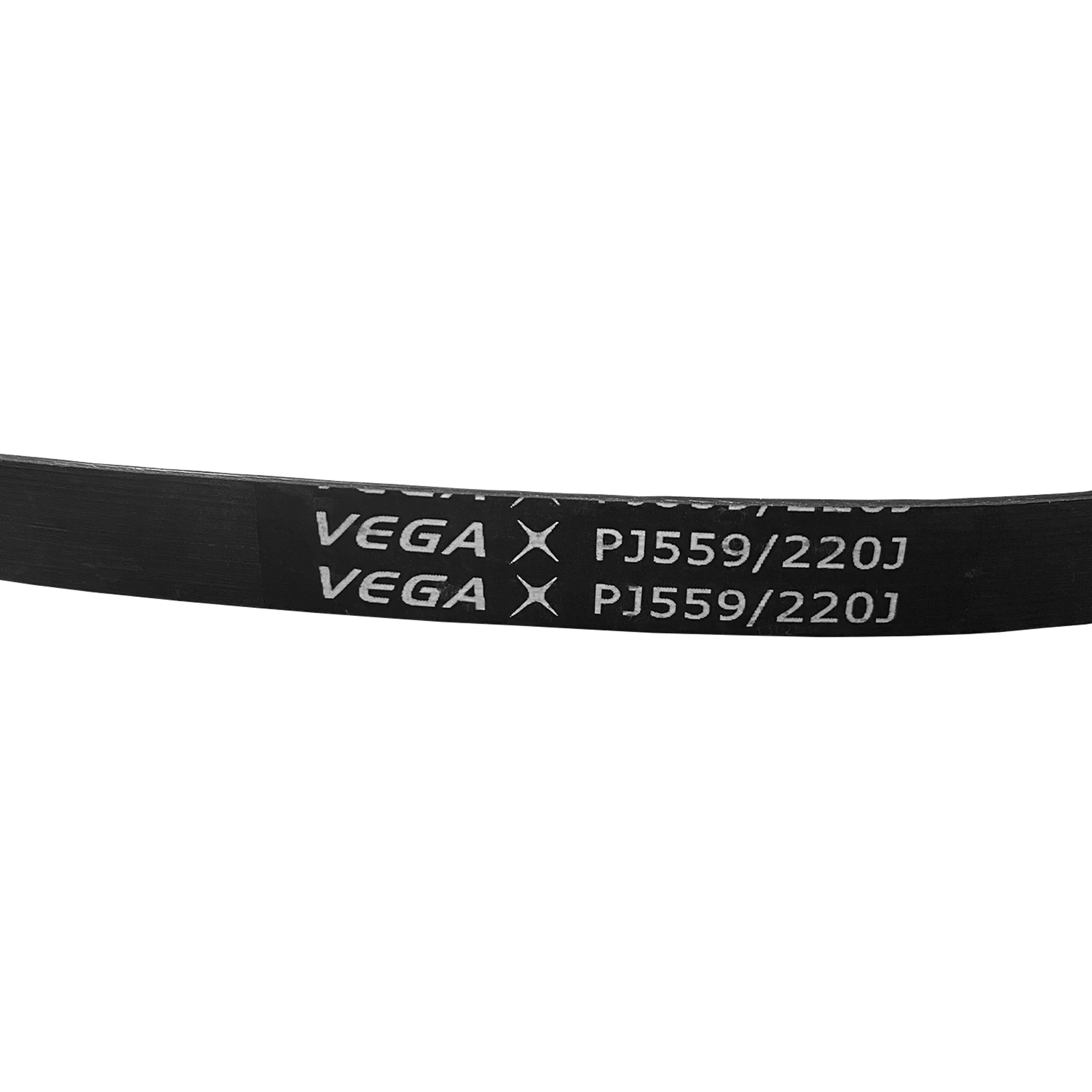 R200 Rowing Machine Internal Belt - Image 2