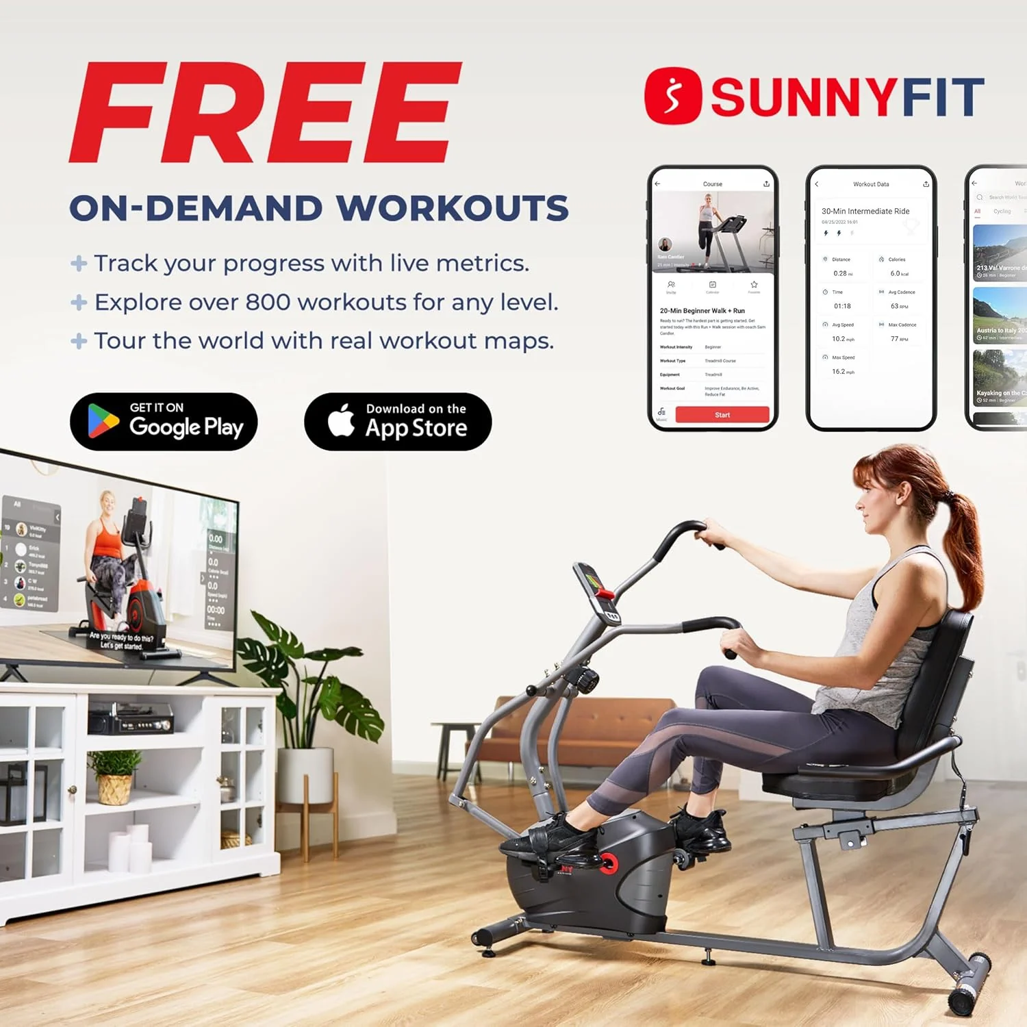 Performance Interactive Recumbent Bike with Arm Exerciser - Image 6